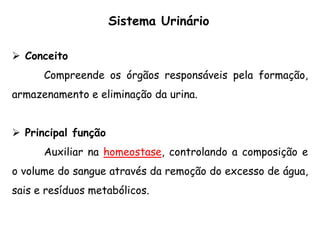  Conceito
Compreende os órgãos responsáveis pela formação,
armazenamento e eliminação da urina.
 Principal função
Auxiliar na homeostase, controlando a composição e
o volume do sangue através da remoção do excesso de água,
sais e resíduos metabólicos.
Sistema Urinário
 