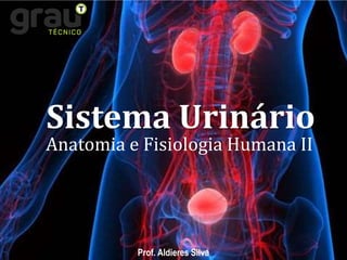 Sistema Urinário
Anatomia e Fisiologia Humana II
Prof. Aldieres Silva
 