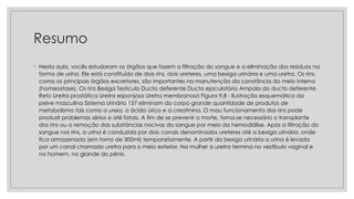 Resumo
◦ Nesta aula, vocês estudaram os órgãos que fazem a filtração do sangue e a eliminação dos resíduos na
forma de urina. Ele está constituído de dois rins, dois ureteres, uma bexiga urinária e uma uretra. Os rins,
como os principais órgãos excretores, são importantes na manutenção da constância do meio interno
(homeostase). Os rins Bexiga Testículo Ducto deferente Ducto ejaculatório Ampola do ducto deferente
Reto Uretra prostática Uretra esponjosa Uretra membranosa Figura 9.8 - Ilustração esquemática da
pelve masculina Sistema Urinário 157 eliminam do corpo grande quantidade de produtos de
metabolismo tais como a ureia, o ácido úrico e a creatinina. O mau funcionamento dos rins pode
produzir problemas sérios e até fatais. A fim de se prevenir a morte, torna-se necessário o transplante
dos rins ou a remoção das substâncias nocivas do sangue por meio da hemodiálise. Após a filtração do
sangue nos rins, a urina é conduzida por dois canais denominados ureteres até a bexiga urinária, onde
fica armazenada (em torno de 300ml) temporariamente. A partir da bexiga urinária a urina é levada
por um canal chamado uretra para o meio exterior. Na mulher a uretra termina no vestíbulo vaginal e
no homem, na glande do pênis.
 