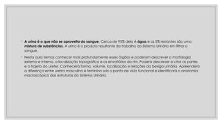 ◦ A urina é o que não se aproveita do sangue. Cerca de 95% dela é água e os 5% restantes são uma
mistura de substâncias. A urina é o produto resultante do trabalho do Sistema Urinário em filtrar o
sangue.
◦ Nesta aula iremos conhecer mais profundamente esses órgãos e poderam descrever a morfologia
externa e interna, a localização topográfica e os envoltórios do rim. Poderá descrever e citar as partes
e o trajeto do ureter. Conhecerá forma, volume, localização e relações da bexiga urinária. Apreenderá
a diferença entre uretra masculina e feminina sob o ponto de vista funcional e identificará a anatomia
macroscópica das estruturas do Sistema Urinário.
 