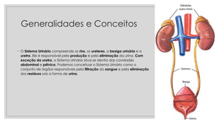 Generalidades e Conceitos
◦ O Sistema Urinário compreende os rins, os ureteres, a bexiga urinária e a
uretra. Ele é responsável pela produção e pela eliminação da urina. Com
exceção da uretra, o Sistema Urinário situa-se dentro das cavidades
abdominal e pélvica. Podemos conceituar o Sistema Urinário como o
conjunto de órgãos responsáveis pela filtração do sangue e pela eliminação
dos resíduos sob a forma de urina.
27/09/2025
 