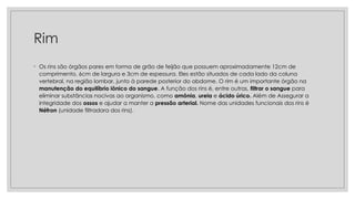 Rim
◦ Os rins são órgãos pares em forma de grão de feijão que possuem aproximadamente 12cm de
comprimento, 6cm de largura e 3cm de espessura. Eles estão situados de cada lado da coluna
vertebral, na região lombar, junto à parede posterior do abdome. O rim é um importante órgão na
manutenção do equilíbrio iônico do sangue. A função dos rins é, entre outras, filtrar o sangue para
eliminar substâncias nocivas ao organismo, como amônia, ureia e ácido úrico. Além de Assegurar a
integridade dos ossos e ajudar a manter a pressão arterial. Nome das unidades funcionais dos rins é
Néfron (unidade filtradora dos rins).
 