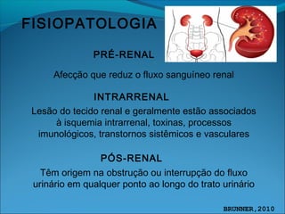 FISIOPATOLOGIA
PRÉ-RENAL
Afecção que reduz o fluxo sanguíneo renal
PÓS-RENAL
INTRARRENAL
Têm origem na obstrução ou interrupção do fluxo
urinário em qualquer ponto ao longo do trato urinário
Lesão do tecido renal e geralmente estão associados
à isquemia intrarrenal, toxinas, processos
imunológicos, transtornos sistêmicos e vasculares
BRUNNER,2010
 