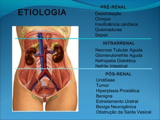 ETIOLOGIA
PRÉ-RENAL
Desidratação
Choque
Insuficiência cardíaca
Queimaduras
Sepse
INTRARRENAL
Necrose Tubular Aguda
Glomerulonefrite Aguda
Nefropatia Diabética
Nefrite Intestinal
PÓS-RENAL
Urolitíase
Tumor
Hiperplasia Prostática
Benigna
Estreitamento Uretral
Bexiga Neurogênica
Obstrução da Saída Vesical
 