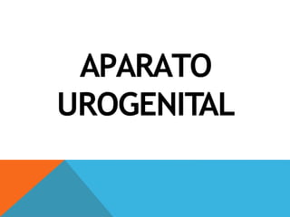 APARATO
UROGENITAL
 