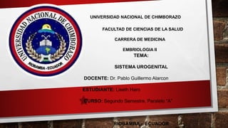 UNIVERSIDAD NACIONAL DE CHIMBORAZO
FACULTAD DE CIENCIAS DE LA SALUD
CARRERA DE MEDICINA
EMBRIOLOGIA II
TEMA:
SISTEMA UROGENITAL
DOCENTE: Dr. Pablo Guillermo Alarcon
ESTUDIANTE: Liseth Haro
CURSO: Segundo Semestre, Paralelo “A”
RIOBAMBA – ECUADOR
 