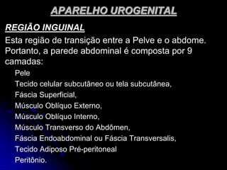 APARELHO UROGENITAL
REGIÃO INGUINAL
Esta região de transição entre a Pelve e o abdome.
Portanto, a parede abdominal é composta por 9
camadas:
Pele
Tecido celular subcutâneo ou tela subcutânea,
Fáscia Superficial,
Músculo Oblíquo Externo,
Músculo Oblíquo Interno,
Músculo Transverso do Abdômen,
Fáscia Endoabdominal ou Fáscia Transversalis,
Tecido Adiposo Pré-peritoneal
Peritônio.
 