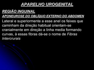 APARELHO UROGENITAL
REGIÃO INGUINAL
APONEUROSE DO OBLÍQUO EXTERNO DO ABDOMEN
Lateral e superiormente a esse anel os feixes que
caminham da direção habitual orientam-se
cranialmente em direção a linha media formando
curvas, à essas fibras dá-se o nome de Fibras
Intercrurais
 