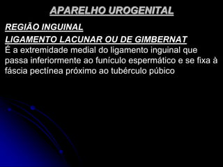 APARELHO UROGENITAL
REGIÃO INGUINAL
LIGAMENTO LACUNAR OU DE GIMBERNAT
É a extremidade medial do ligamento inguinal que
passa inferiormente ao funículo espermático e se fixa à
fáscia pectínea próximo ao tubérculo púbico
 