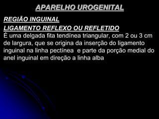 APARELHO UROGENITAL
REGIÃO INGUINAL
LIGAMENTO REFLEXO OU REFLETIDO
É uma delgada fita tendínea triangular, com 2 ou 3 cm
de largura, que se origina da inserção do ligamento
inguinal na linha pectínea e parte da porção medial do
anel inguinal em direção a linha alba
 