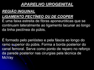 APARELHO UROGENITAL
REGIÃO INGUINAL
LIGAMENTO PECTÍNEO OU DE COOPER
É uma faixa estreita de fibras aponeuróticas que se
continuam lateralmente ao ligamento lacunar ao longo
da linha pectínea do púbis.
É formado pelo periósteo e pela fáscia ao longo do
ramo superior do púbis. Forma a borda posterior do
canal femoral. Serve como ponto de reparo no reforço
da parede posterior nas cirurgias pela técnica de
McVay
 