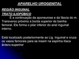 APARELHO UROGENITAL
REGIÃO INGUINAL
TRATO ILIOPÚBICO
É a continuação da aponeurose e da fáscia do m.
Transverso próximo a borda superior da bainha
femoral. Ele forma o pilar inferior do anel inguinal
interno.
Está localizado posteriormente ao Lig. Inguinal e cruza
os vasos femorais para se inserir na espinha ilíaca
ântero-superiror
 