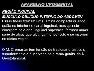 APARELHO UROGENITAL
REGIÃO INGUINAL
MÚSCULO OBLIQUO INTERNO DO ABDOMEN
Essas fibras formam uma lâmina compacta quando
estão no interior do canal inguinal, mas quando
emergem pelo anel inguinal superficial formam umas
serie de alças que alcançam o testículo e se inserem
na túnica vaginal.
O M. Cremaster tem função de tracionar o testículo
superiormente e é inervado pelo ramo genital do N.
Genitofemoral.
 