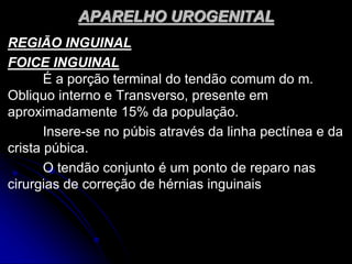 APARELHO UROGENITAL
REGIÃO INGUINAL
FOICE INGUINAL
É a porção terminal do tendão comum do m.
Obliquo interno e Transverso, presente em
aproximadamente 15% da população.
Insere-se no púbis através da linha pectínea e da
crista púbica.
O tendão conjunto é um ponto de reparo nas
cirurgias de correção de hérnias inguinais
 