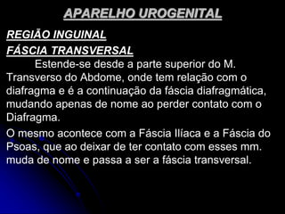 APARELHO UROGENITAL
REGIÃO INGUINAL
FÁSCIA TRANSVERSAL
Estende-se desde a parte superior do M.
Transverso do Abdome, onde tem relação com o
diafragma e é a continuação da fáscia diafragmática,
mudando apenas de nome ao perder contato com o
Diafragma.
O mesmo acontece com a Fáscia Ilíaca e a Fáscia do
Psoas, que ao deixar de ter contato com esses mm.
muda de nome e passa a ser a fáscia transversal.
 