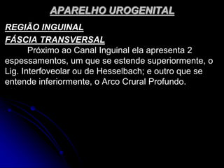 APARELHO UROGENITAL
REGIÃO INGUINAL
FÁSCIA TRANSVERSAL
Próximo ao Canal Inguinal ela apresenta 2
espessamentos, um que se estende superiormente, o
Lig. Interfoveolar ou de Hesselbach; e outro que se
entende inferiormente, o Arco Crural Profundo.
 