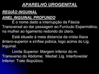 APARELHO UROGENITAL
REGIÃO INGUINAL
ANEL INGUINAL PROFUNDO
É o nome dado a interrupção da Fáscia
Transversal ao dar passagem ao Funículo Espermático,
na mulher ao ligamento redondo do útero.
Está situado à meia distancia da crista ilíaca
ântero-superior e sínfise púbica, logo acima do Lig.
Inguinal.
Limite Superior: Margem inferior do m.
Transverso do Abdome; Medial: Lig. Interfoveolar
Inferior: Trato Iliopúbico.
 