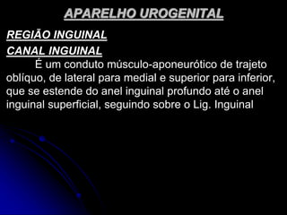 APARELHO UROGENITAL
REGIÃO INGUINAL
CANAL INGUINAL
É um conduto músculo-aponeurótico de trajeto
oblíquo, de lateral para medial e superior para inferior,
que se estende do anel inguinal profundo até o anel
inguinal superficial, seguindo sobre o Lig. Inguinal
 
