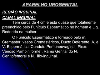 APARELHO UROGENITAL
REGIÃO INGUINAL
CANAL INGUINAL
Tem cerca de 4 cm e esta quase que totalmente
preenchido pelo Funículo Espermático no homem e Lig.
Redondo na mulher.
O Funículo Espermático é formado pelo m.
Cremaster, vasos Cremastéricos, Ducto Deferente, A. e
V. Espermática, Conduto Peritoneovaginal, Plexo
Venoso Pampiniforme , Ramo Genital do N.
Genitofemoral e N. Ílio-inguinal.
 
