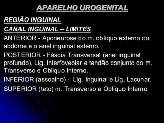 APARELHO UROGENITAL
REGIÃO INGUINAL
CANAL INGUINAL – LIMITES
ANTERIOR - Aponeurose do m. oblíquo externo do
abdome e o anel inguinal externo.
POSTERIOR - Fáscia Transversal (anel inguinal
profundo), Lig. Interfoveolar e tendão conjunto do m.
Transverso e Obliquo Interno.
INFERIOR (assoalho) - Lig. Inguinal e Lig. Lacunar.
SUPERIOR (teto) m. Transverso e Oblíquo Interno
 