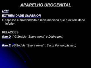 APARELHO UROGENITAL
RIM
EXTREMIDADE SUPERIOR
É espessa e arredondada e mais mediana que a extremidade
inferior.
RELAÇÕES
Rim D ( Glândula “Supra renal” e Diafragma)
Rim E (Glândula “Supra renal” ; Baço; Fundo gástrico)
 