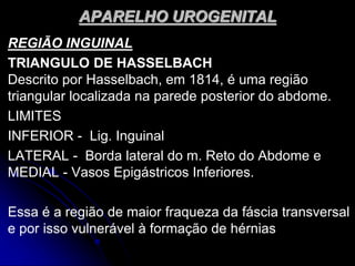 APARELHO UROGENITAL
REGIÃO INGUINAL
TRIANGULO DE HASSELBACH
Descrito por Hasselbach, em 1814, é uma região
triangular localizada na parede posterior do abdome.
LIMITES
INFERIOR - Lig. Inguinal
LATERAL - Borda lateral do m. Reto do Abdome e
MEDIAL - Vasos Epigástricos Inferiores.
Essa é a região de maior fraqueza da fáscia transversal
e por isso vulnerável à formação de hérnias
 