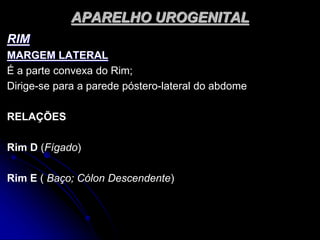 APARELHO UROGENITAL
RIM
MARGEM LATERAL
É a parte convexa do Rim;
Dirige-se para a parede póstero-lateral do abdome
RELAÇÕES
Rim D (Fígado)
Rim E ( Baço; Cólon Descendente)
 