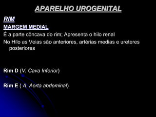 APARELHO UROGENITAL
RIM
MARGEM MEDIAL
É a parte côncava do rim; Apresenta o hilo renal
No Hilo as Veias são anteriores, artérias medias e ureteres
posteriores
Rim D (V. Cava Inferior)
Rim E ( A. Aorta abdominal)
 