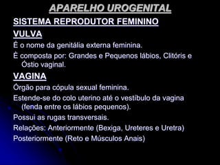 APARELHO UROGENITAL
SISTEMA REPRODUTOR FEMININO
VULVA
É o nome da genitália externa feminina.
È composta por: Grandes e Pequenos lábios, Clitóris e
Óstio vaginal.
VAGINA
Órgão para cópula sexual feminina.
Estende-se do colo uterino até o vestíbulo da vagina
(fenda entre os lábios pequenos).
Possui as rugas transversais.
Relações: Anteriormente (Bexiga, Ureteres e Uretra)
Posteriormente (Reto e Músculos Anais)
 