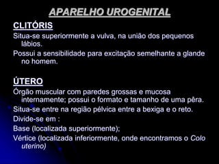 APARELHO UROGENITAL
CLITÓRIS
Situa-se superiormente a vulva, na união dos pequenos
lábios.
Possui a sensibilidade para excitação semelhante a glande
no homem.
ÚTERO
Órgão muscular com paredes grossas e mucosa
internamente; possui o formato e tamanho de uma pêra.
Situa-se entre na região pélvica entre a bexiga e o reto.
Divide-se em :
Base (localizada superiormente);
Vértice (localizada inferiormente, onde encontramos o Colo
uterino)
 