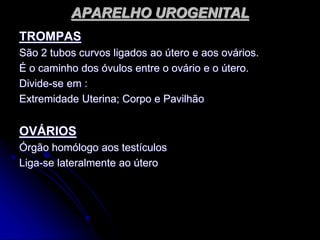APARELHO UROGENITAL
TROMPAS
São 2 tubos curvos ligados ao útero e aos ovários.
É o caminho dos óvulos entre o ovário e o útero.
Divide-se em :
Extremidade Uterina; Corpo e Pavilhão
OVÁRIOS
Órgão homólogo aos testículos
Liga-se lateralmente ao útero
 