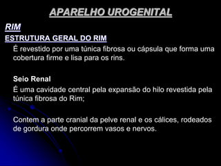 APARELHO UROGENITAL
RIM
ESTRUTURA GERAL DO RIM
É revestido por uma túnica fibrosa ou cápsula que forma uma
cobertura firme e lisa para os rins.
Seio Renal
É uma cavidade central pela expansão do hilo revestida pela
túnica fibrosa do Rim;
Contem a parte cranial da pelve renal e os cálices, rodeados
de gordura onde percorrem vasos e nervos.
 
