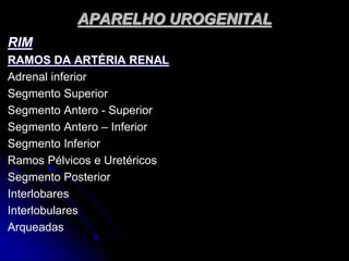 APARELHO UROGENITAL
RIM
RAMOS DA ARTÉRIA RENAL
Adrenal inferior
Segmento Superior
Segmento Antero - Superior
Segmento Antero – Inferior
Segmento Inferior
Ramos Pélvicos e Uretéricos
Segmento Posterior
Interlobares
Interlobulares
Arqueadas
 