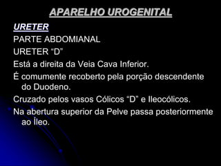 APARELHO UROGENITAL
URETER
PARTE ABDOMIANAL
URETER “D”
Está a direita da Veia Cava Inferior.
É comumente recoberto pela porção descendente
do Duodeno.
Cruzado pelos vasos Cólicos “D” e Ileocólicos.
Na abertura superior da Pelve passa posteriormente
ao Íleo.
 