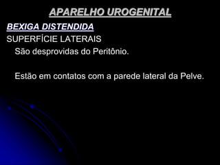 APARELHO UROGENITAL
BEXIGA DISTENDIDA
SUPERFÍCIE LATERAIS
São desprovidas do Peritônio.
Estão em contatos com a parede lateral da Pelve.
 