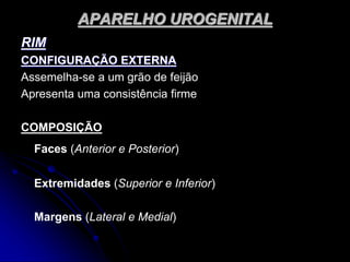 APARELHO UROGENITAL
RIM
CONFIGURAÇÃO EXTERNA
Assemelha-se a um grão de feijão
Apresenta uma consistência firme
COMPOSIÇÃO
Faces (Anterior e Posterior)
Extremidades (Superior e Inferior)
Margens (Lateral e Medial)
 