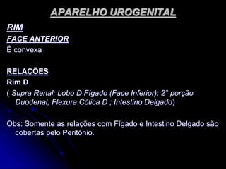 APARELHO UROGENITAL
RIM
FACE ANTERIOR
É convexa
RELAÇÕES
Rim D
( Supra Renal; Lobo D Fígado (Face Inferior); 2° porção
Duodenal; Flexura Cólica D ; Intestino Delgado)
Obs: Somente as relações com Fígado e Intestino Delgado são
cobertas pelo Peritônio.
 