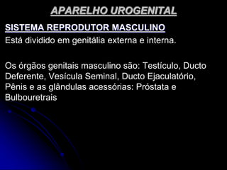 APARELHO UROGENITAL
SISTEMA REPRODUTOR MASCULINO
Está dividido em genitália externa e interna.
Os órgãos genitais masculino são: Testículo, Ducto
Deferente, Vesícula Seminal, Ducto Ejaculatório,
Pênis e as glândulas acessórias: Próstata e
Bulbouretrais
 