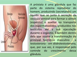 A próstata é uma glândula que faz
parte do sistema reprodutor do
homem, produzindo (secretando) um
líquido que se junta à secreção da
vesícula seminal para formar o sêmen
(esperma) e auxiliar no transporte
dos espermatozóides, produzidos nos
testículos até a sua ejaculação
durante o orgasmo. É também dentro
dela que ocorre a transformação do
principal hormônio masculino - a
testosterona - em diidrotestosterona,
que, por sua vez, é responsável pelo
controle do crescimento dessa
glândula.
 