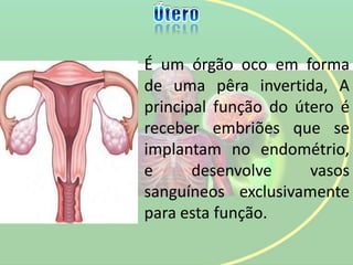 É um órgão oco em forma
de uma pêra invertida, A
principal função do útero é
receber embriões que se
implantam no endométrio,
e desenvolve vasos
sanguíneos exclusivamente
para esta função.
 