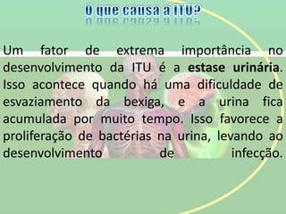 Um fator de extrema importância no
desenvolvimento da ITU é a estase urinária.
Isso acontece quando há uma dificuldade de
esvaziamento da bexiga, e a urina fica
acumulada por muito tempo. Isso favorece a
proliferação de bactérias na urina, levando ao
desenvolvimento de infecção.
 