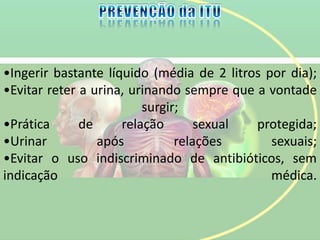 •Ingerir bastante líquido (média de 2 litros por dia);
•Evitar reter a urina, urinando sempre que a vontade
surgir;
•Prática de relação sexual protegida;
•Urinar após relações sexuais;
•Evitar o uso indiscriminado de antibióticos, sem
indicação médica.
 