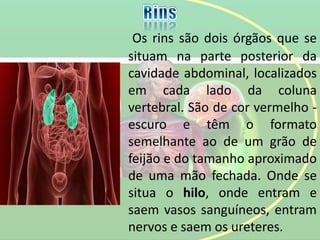 Os rins são dois órgãos que se
situam na parte posterior da
cavidade abdominal, localizados
em cada lado da coluna
vertebral. São de cor vermelho -
escuro e têm o formato
semelhante ao de um grão de
feijão e do tamanho aproximado
de uma mão fechada. Onde se
situa o hilo, onde entram e
saem vasos sanguíneos, entram
nervos e saem os ureteres.
 