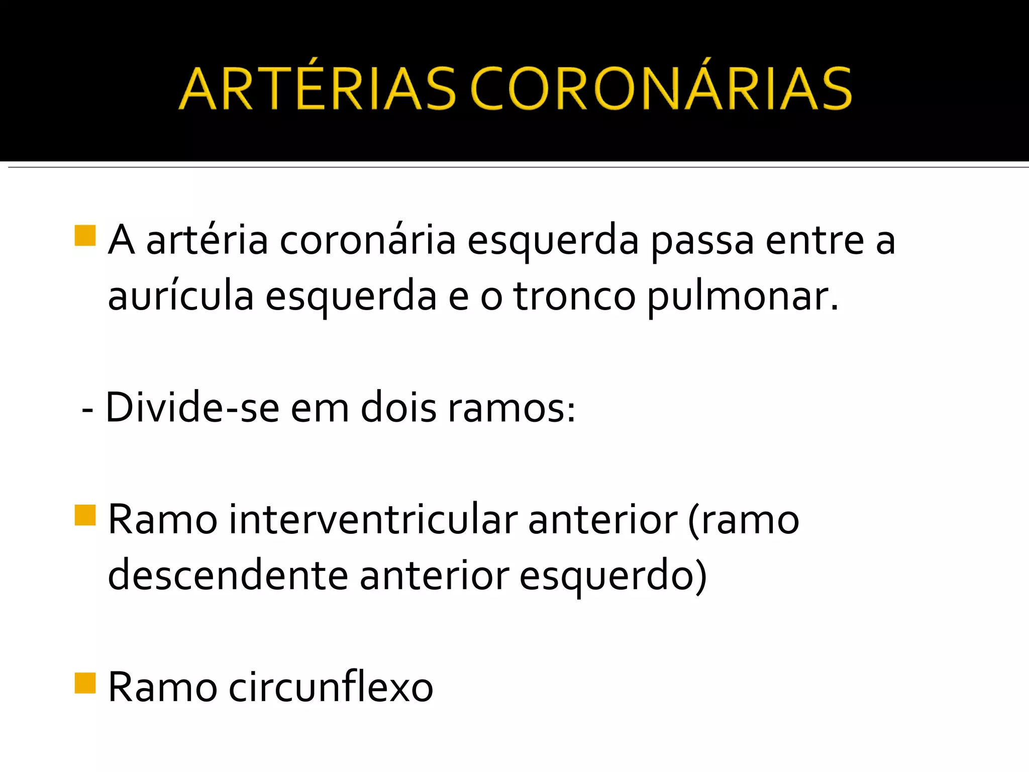  A artéria coronária esquerda passa entre a
 aurícula esquerda e o tronco pulmonar.

- Divide-se em dois ramos:

 Ramo interventricular anterior (ramo
 descendente anterior esquerdo)

 Ramo circunflexo
 