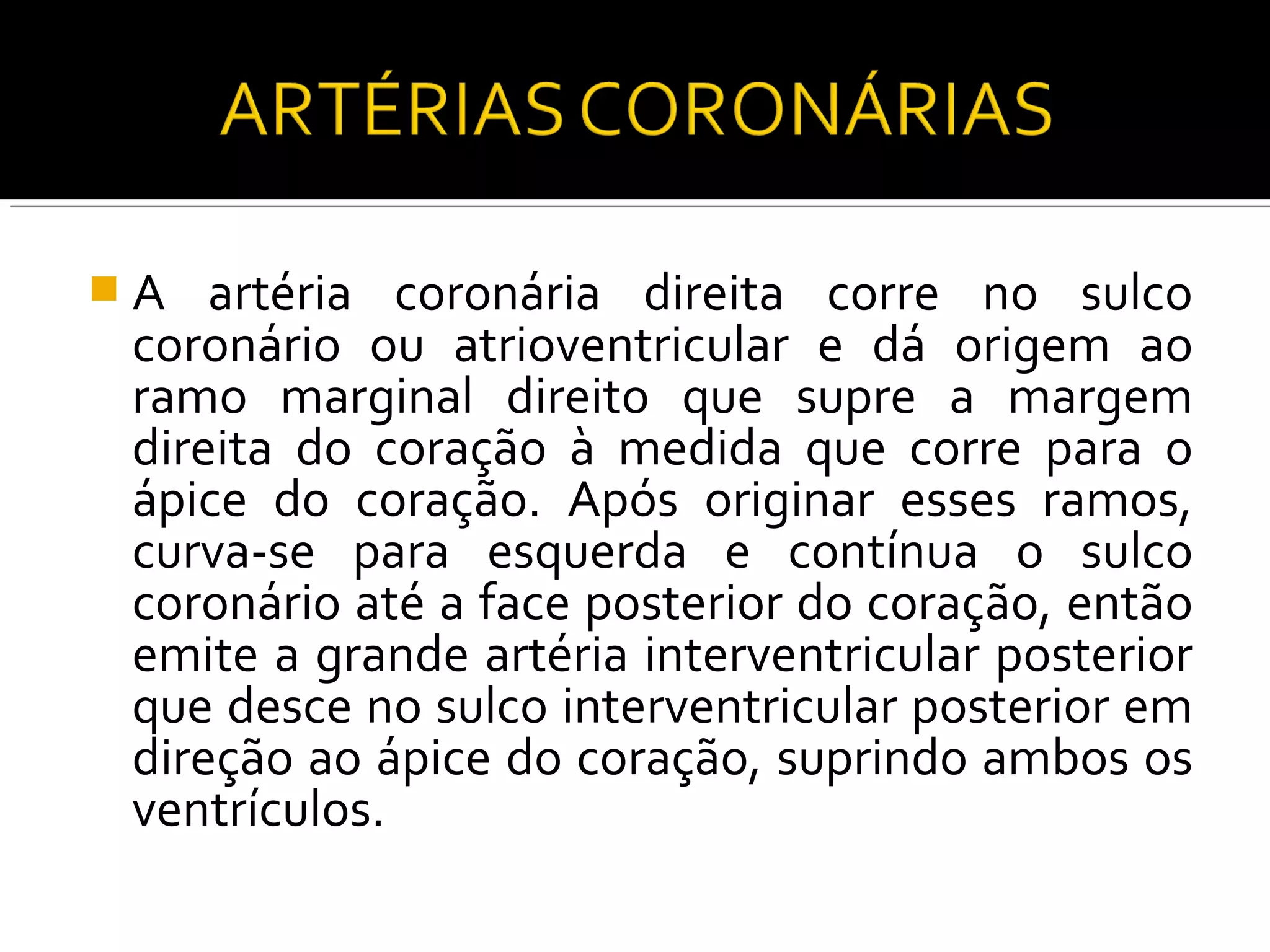 A   artéria coronária direita corre no sulco
 coronário ou atrioventricular e dá origem ao
 ramo marginal direito que supre a margem
 direita do coração à medida que corre para o
 ápice do coração. Após originar esses ramos,
 curva-se para esquerda e contínua o sulco
 coronário até a face posterior do coração, então
 emite a grande artéria interventricular posterior
 que desce no sulco interventricular posterior em
 direção ao ápice do coração, suprindo ambos os
 ventrículos.
 
