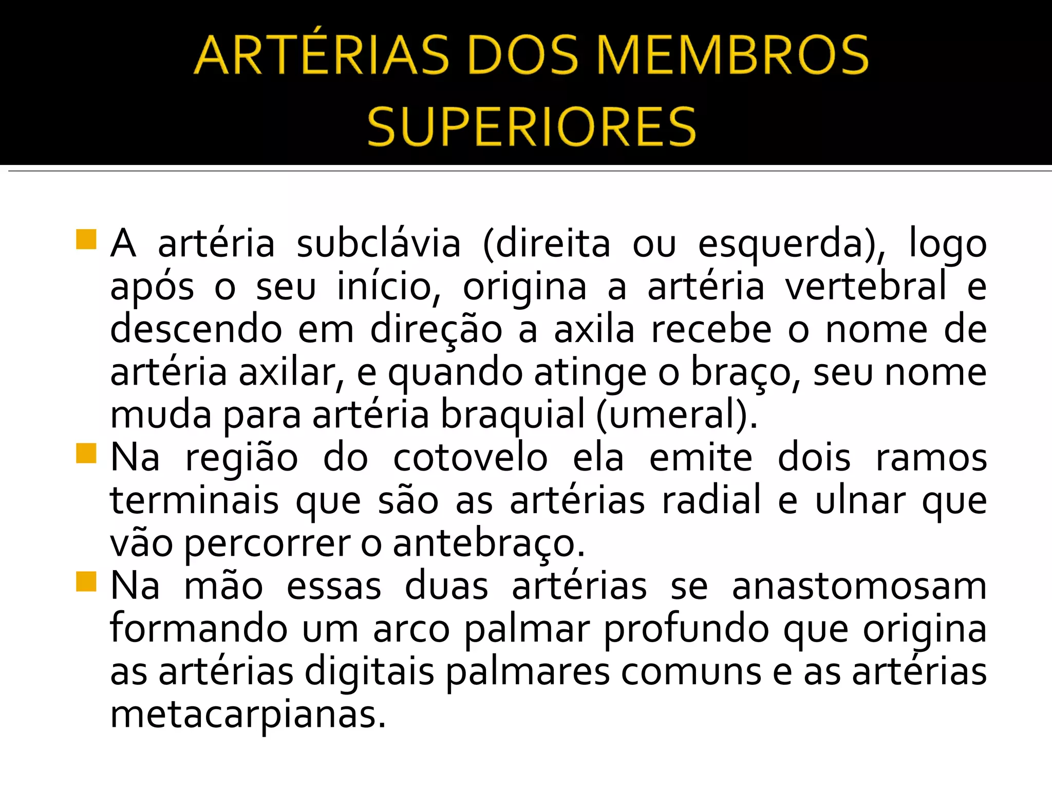 A   artéria subclávia (direita ou esquerda), logo
  após o seu início, origina a artéria vertebral e
  descendo em direção a axila recebe o nome de
  artéria axilar, e quando atinge o braço, seu nome
  muda para artéria braquial (umeral).
 Na região do cotovelo ela emite dois ramos
  terminais que são as artérias radial e ulnar que
  vão percorrer o antebraço.
 Na mão essas duas artérias se anastomosam
  formando um arco palmar profundo que origina
  as artérias digitais palmares comuns e as artérias
  metacarpianas.
 