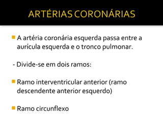  A artéria coronária esquerda passa entre a
 aurícula esquerda e o tronco pulmonar.

- Divide-se em dois ramos:

 Ramo interventricular anterior (ramo
 descendente anterior esquerdo)

 Ramo circunflexo
 