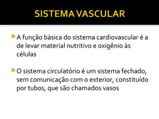  A função básica do sistema cardiovascular é a
 de levar material nutritivo e oxigênio às
 células

 O sistema circulatório é um sistema fechado,
 sem comunicação com o exterior, constituído
 por tubos, que são chamados vasos
 