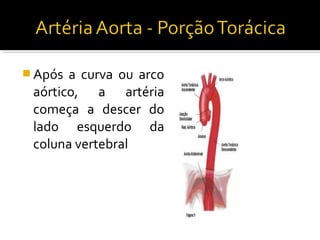  Após a curva ou arco
 aórtico, a artéria
 começa a descer do
 lado esquerdo da
 coluna vertebral
 