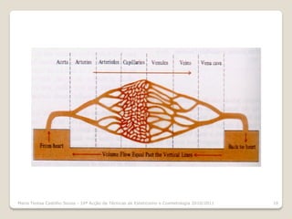 Maria Teresa Castilho Sousa - 10ª Acção de Técnicas de Esteticismo e Cosmetologia 2010/2011   10
 